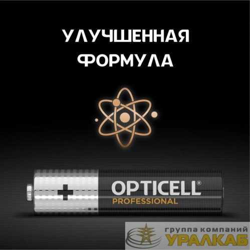 Элемент питания алкалиновый AAA/LR03 (блист. 4шт) Professional Opticell /6052002