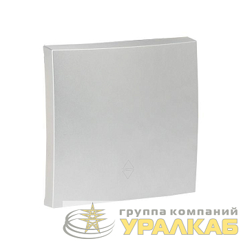 Панель лицевая Валенсия для выключателя 1-кл. 10А сталь PROxima EKF ESV10-L-021-30