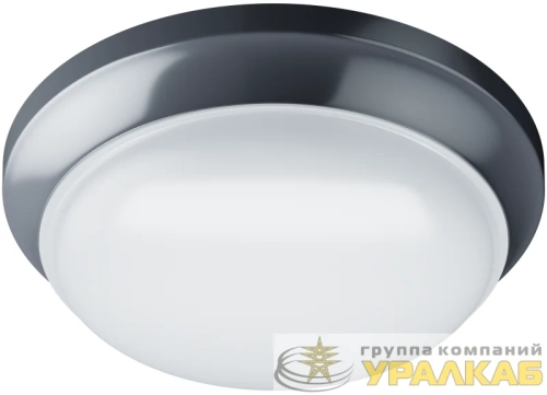Светильник светодиодный 98 041 ДПБ-01-ПП-12-GR-3К-IP65 Innolux 