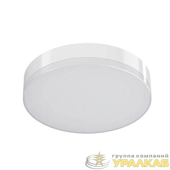 Светильник LE-СБУ-54-024-3801-44Д "ТАВ I" LED-effect 3801