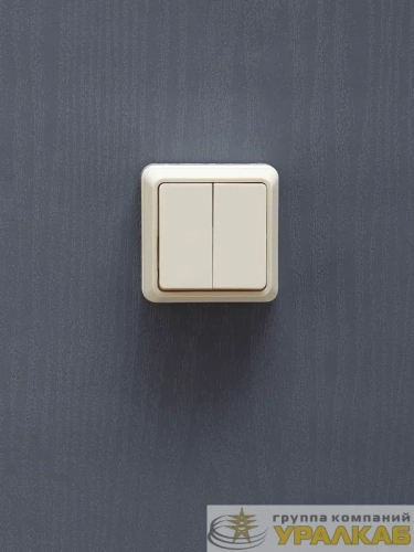 Выключатель 2-кл. ОП Октава 10А IP20 ВС20-2-0-ОКм крем. IEK EVO20-K33-10-DC детальная картинка