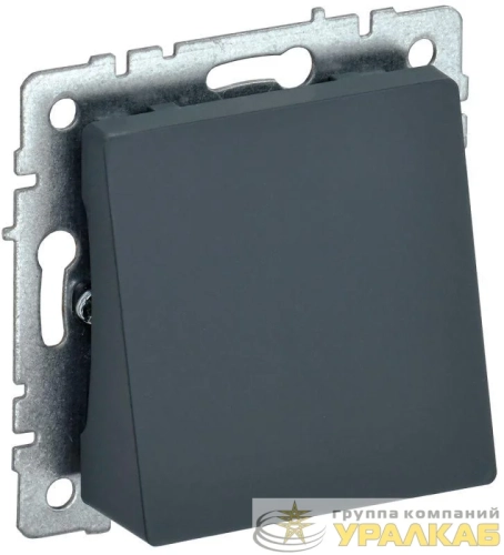Вывод кабеля BRITE МВ10-БрГ механизм графит IEK BR-VK10-0-K53 детальная картинка