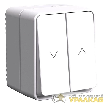 Выключатель для жалюзи 2-кл. ОП AtlasDesign PROFI 10А IP54 бел. SE 