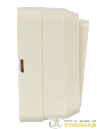 Выключатель 1-кл. ОП Октава 10А IP20 ВС20-1-0-ОКм крем. IEK EVO10-K33-10-DC детальная картинка