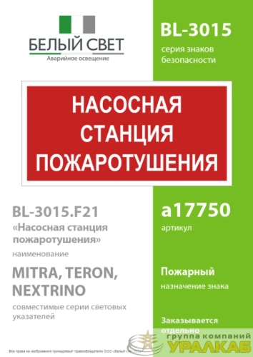 Знак безопасности BL-3015.F21 "Насосная станция пожаротушения" Белый свет 