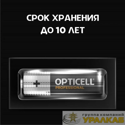 Элемент питания алкалиновый AA/LR6 (блист. 4шт) Professional Opticell /6052001