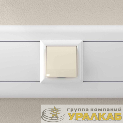 Вывод кабеля модульный "Avanti" "Ванильная дымка" 2 модуля DKC 