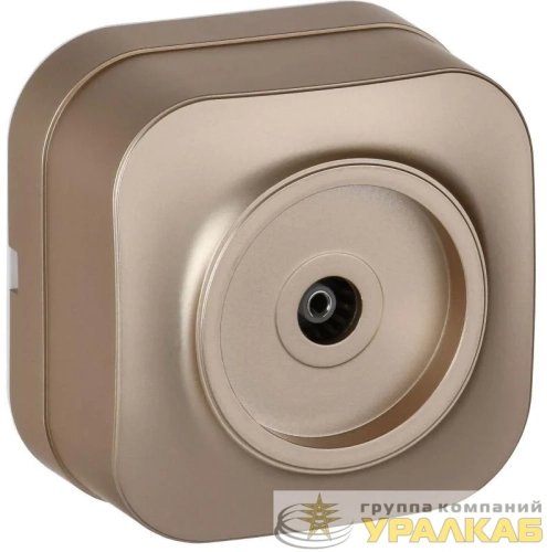 Розетка телевизионная TV 1-м ОП GLORY РТВ20-ХШм шампань матов. IEK EAH10-K37M детальная картинка