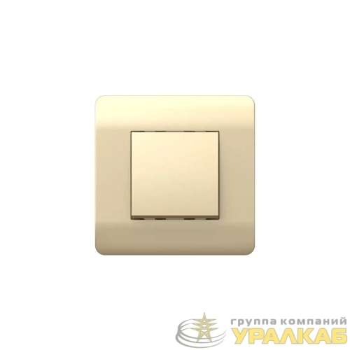 Выключатель 1-кл. NEW3-E 10А шампань CHINT 