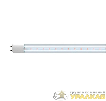 Лампа светодиодная PLED T8-1200 PPG Agro 16Вт T8 линейная G13 CL для растений красн./син. спектр Jazzway 5025912