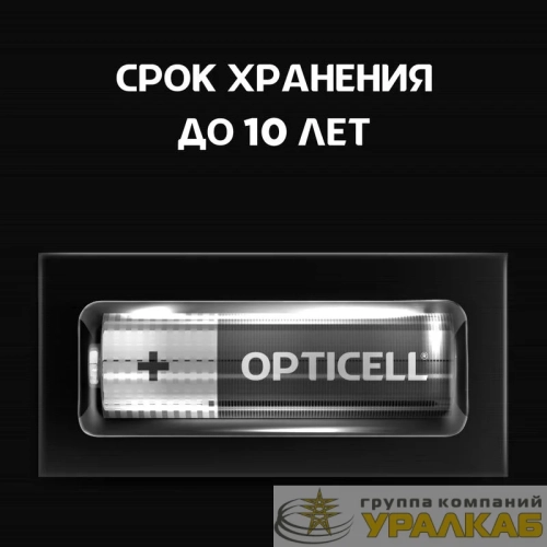 Элемент питания алкалиновый AA/LR6 (блист. 12шт) Basic Opticell /6051010