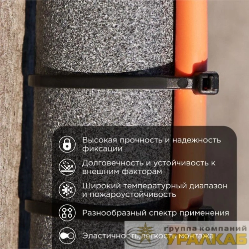 Хомут кабельный 2.5х150 нейл. черн. (уп.25шт) Rexant 07-0151-25 детальная картинка