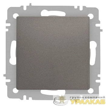 Кнопка Accent 6-109-09 10А-250В IP20 СУ титан Intro 