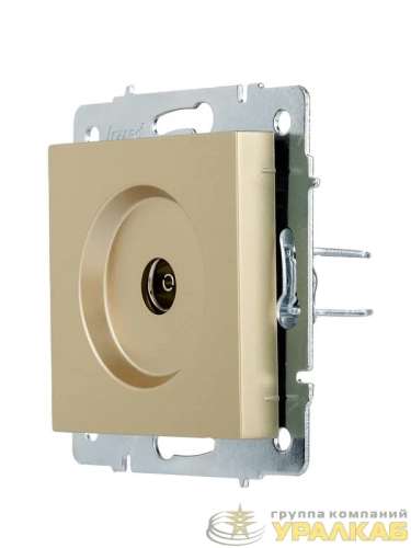 Розетка ТВ оконечная VESNA зол. LEZARD 