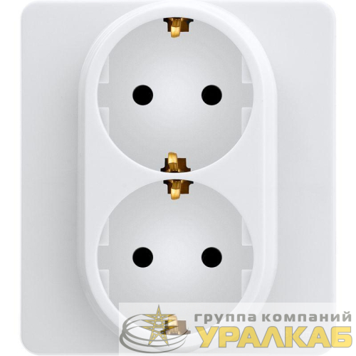 Розетка Inspiria 16А 250В 2х2P+E немецк. стандарт бел. Leg 673750 детальная картинка