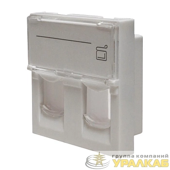 Панель лицевая 2 порта 45х45 Keystone шторки откидное маркиров. окно (DIY) SUPRLAN 10-0302-1