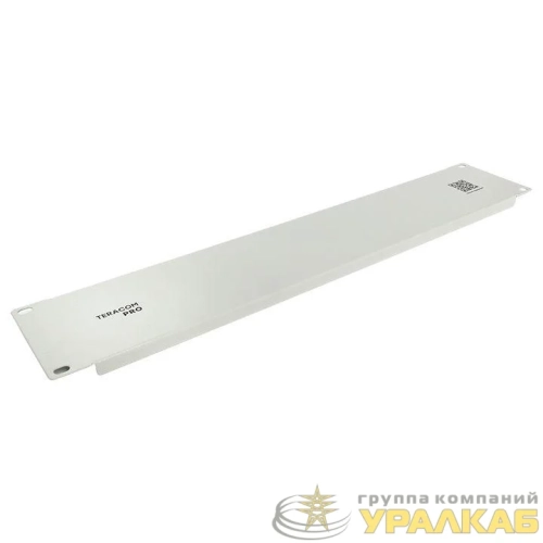 Фальшпанель TERACOM PRO 2U сер. EKF TRP-2FP-GR детальная картинка