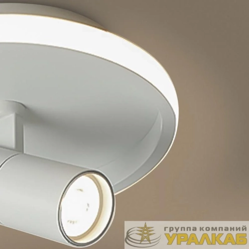 Светильник Neo 13Вт IP20 потолочн. Freya FR6040CL-L14W детальная картинка