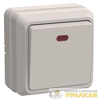 Выключатель 1-кл. ОП Октава 10А IP20 ВС20-1-1-ОКм с индикацией крем. IEK EVO11-K33-10-DC