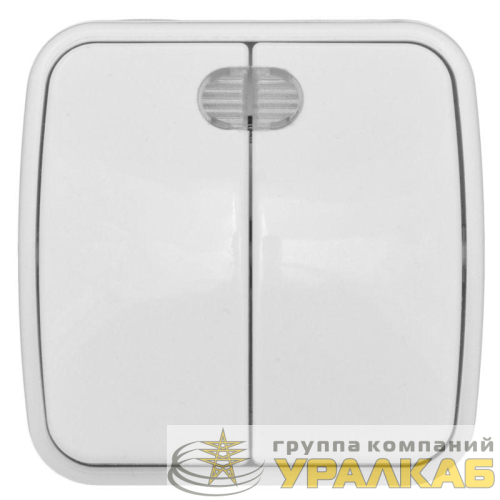 Выключатель 2-кл. ОП Минск 10А IP20 с индикатором бел. Basic EKF EGV10-123-10 детальная картинка