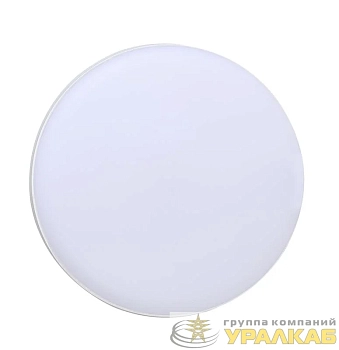 Светильник светодиодный "Банник" ДПО-1036 12Вт 6500К IP54 ЖКХ ДБП пылевлагозащ. ФАZА 